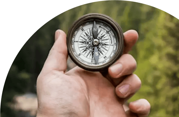 View your data anytime, anywhere